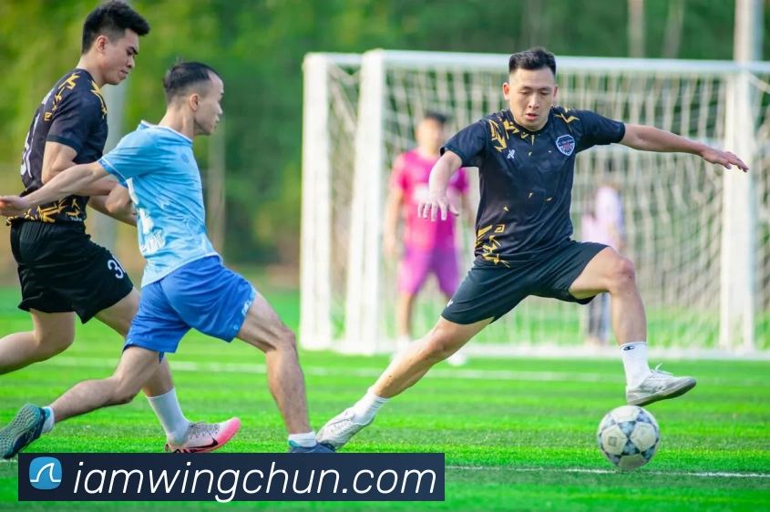hth华体育官网全站App